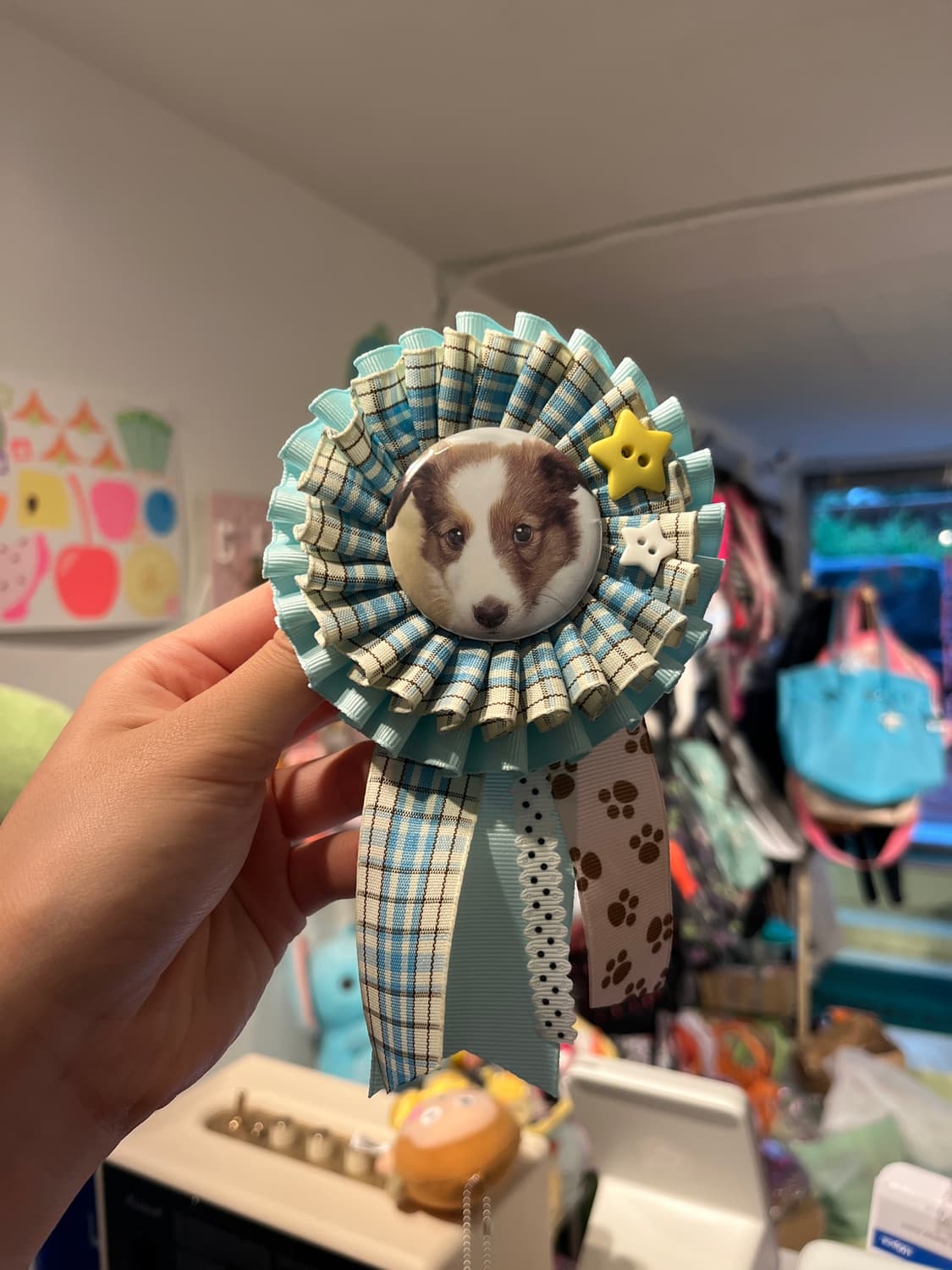 쭈굴강쥐 로제트 🐶 상품이미지3