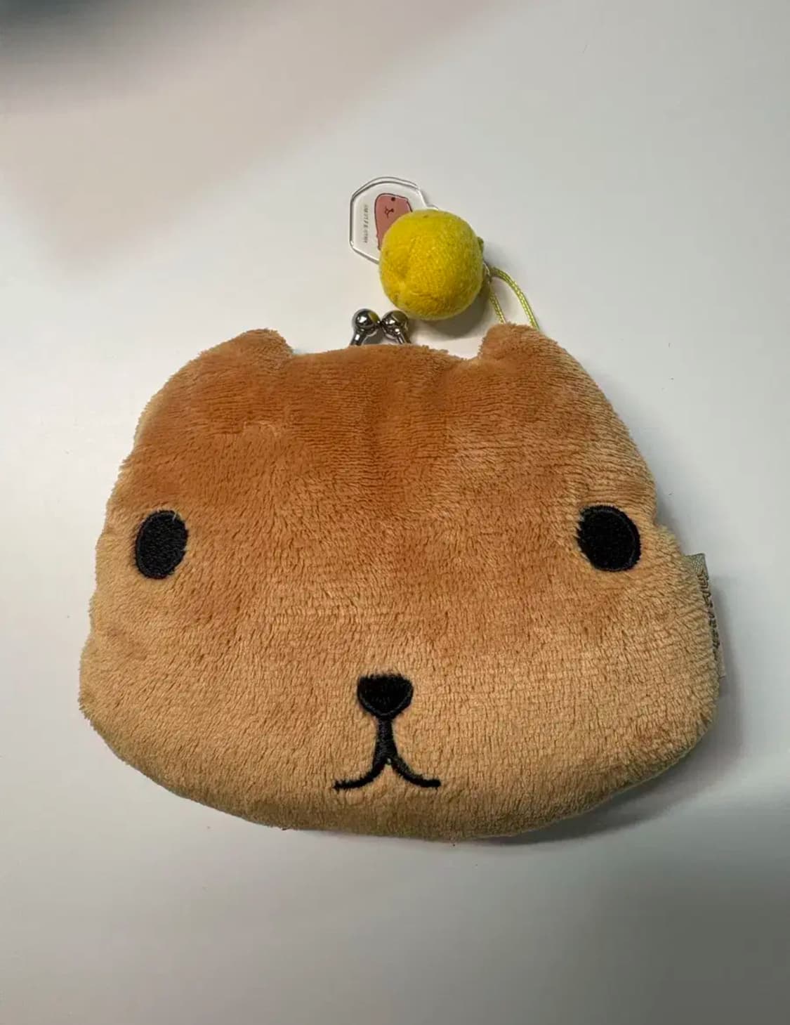 카피바라상 동전지갑 상품이미지1