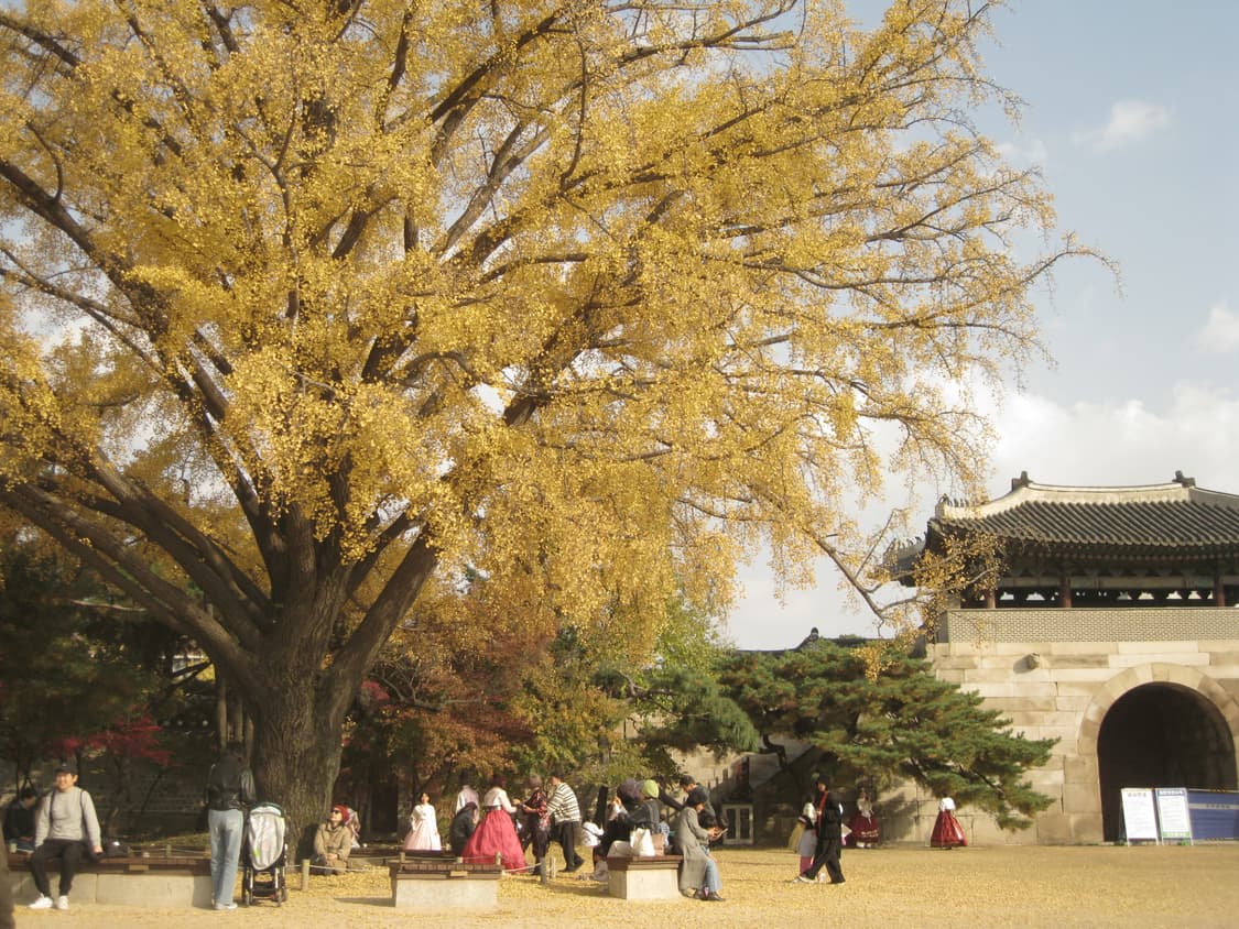 패션모델!작례O) CANON IXUS960 IS ➰ 상품이미지5