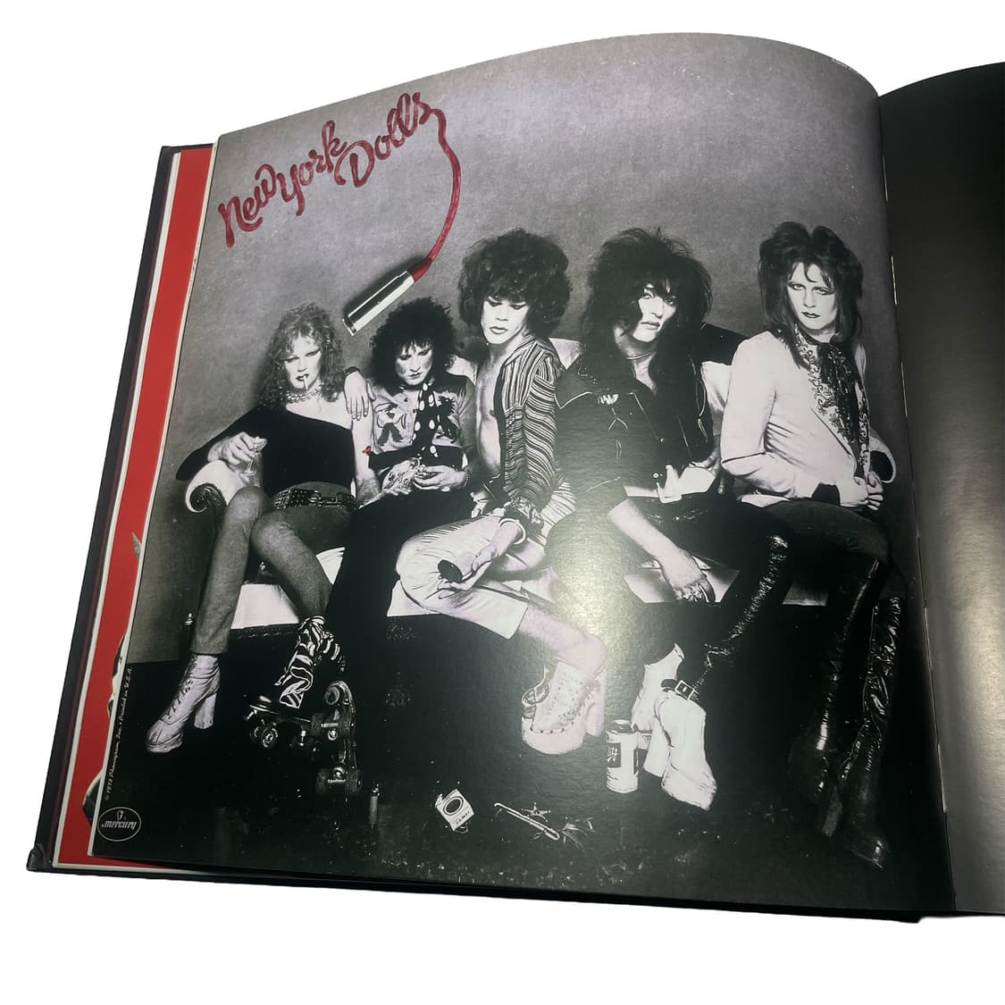 Punk Vinyls Art book - 펑크 록의 역사 상품이미지5