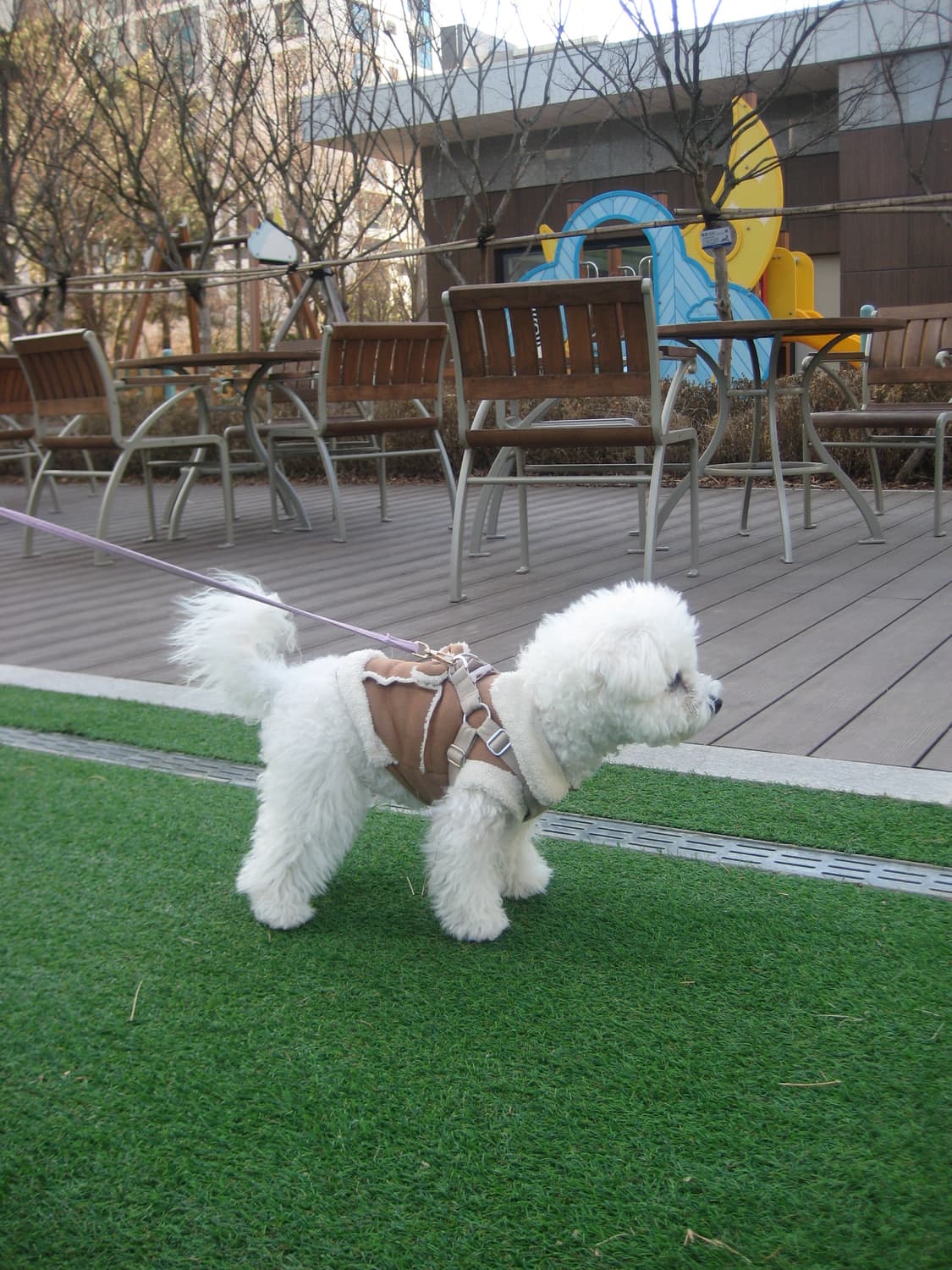 캐논 익서스 70 ixus70 ixy 10 작례  상품이미지6