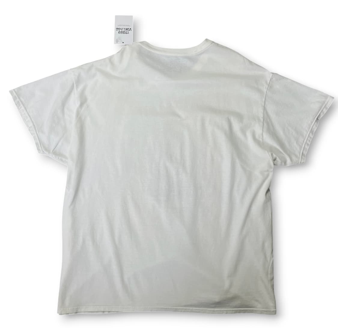 헤인즈 카타클리즘 락 티셔츠 XL 상품이미지2