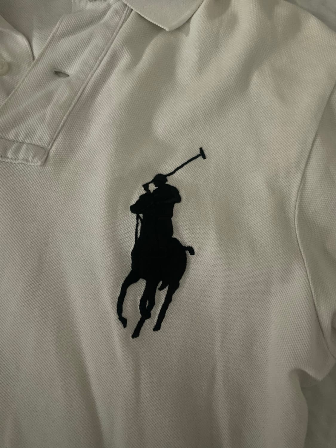 Polo 빅포니 카라티 상품이미지3