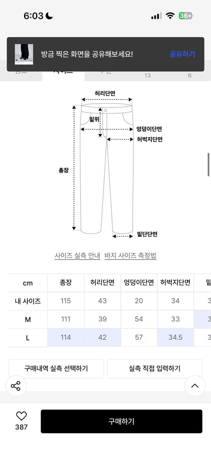 더콜디스트무먼트 라인팬츠 상품이미지5