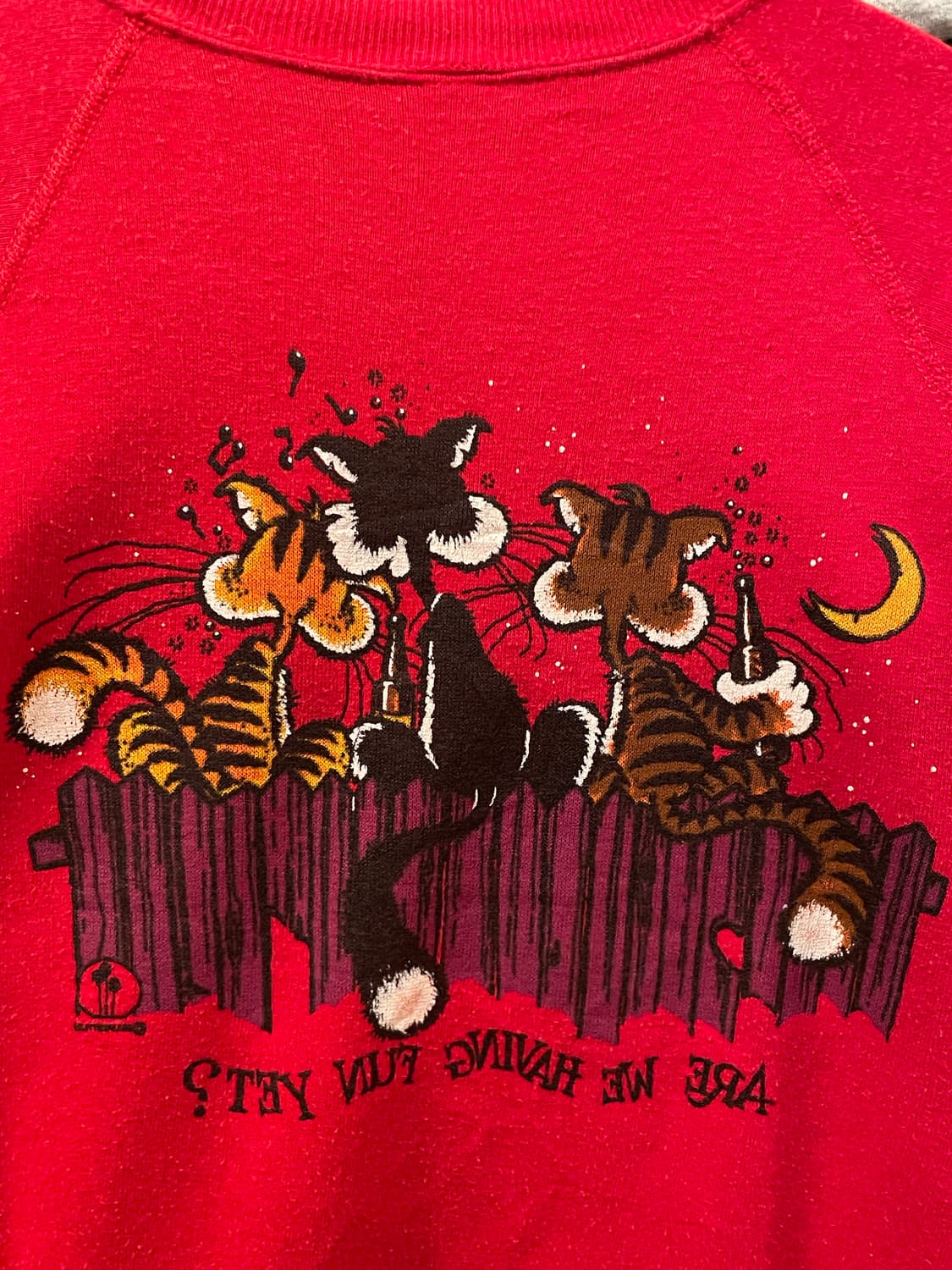 1980-90s Vintage Graphic Sweatshirt USA 상품이미지9