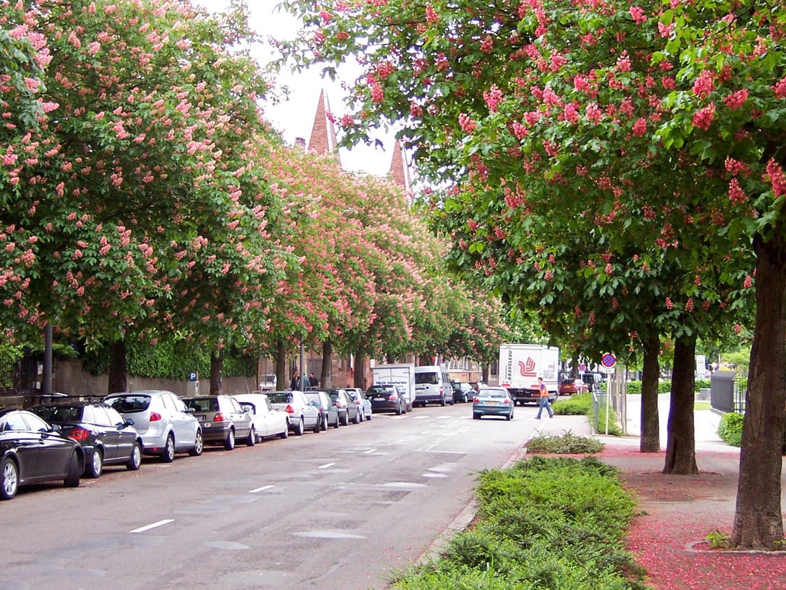 Panasonic DMC-FX10 (파나소닉  DMC-FX10) 상품이미지8