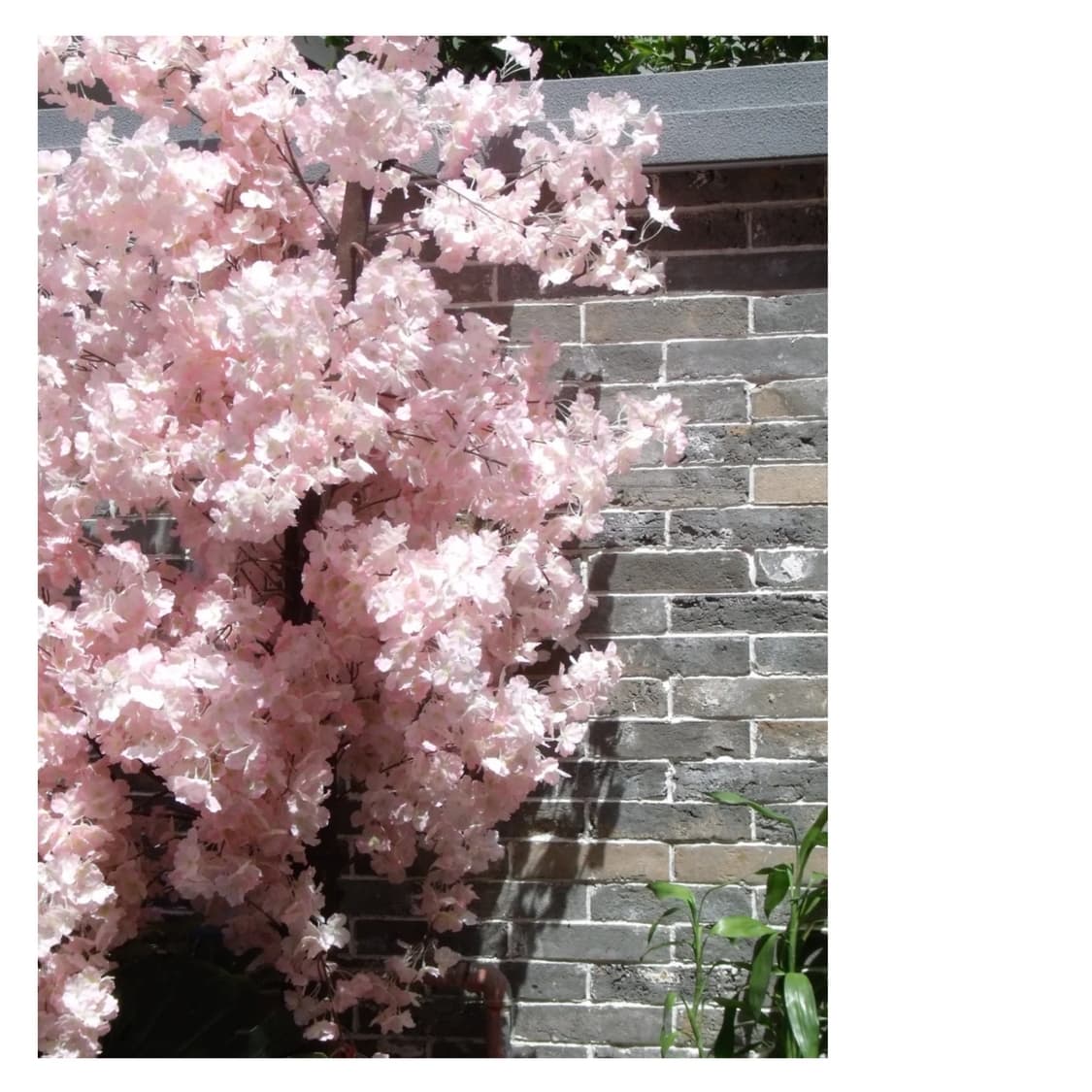 후지필름 파인픽스 JZ250 빈티지디카 상품이미지2