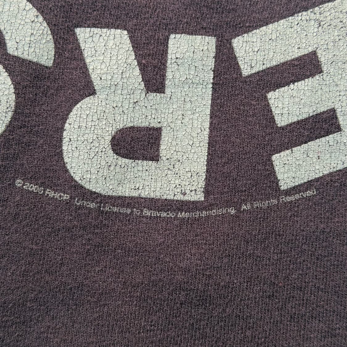 빈티지 06s 레드핫칠리페퍼스 RHCP 밴드 티셔츠 상품이미지4