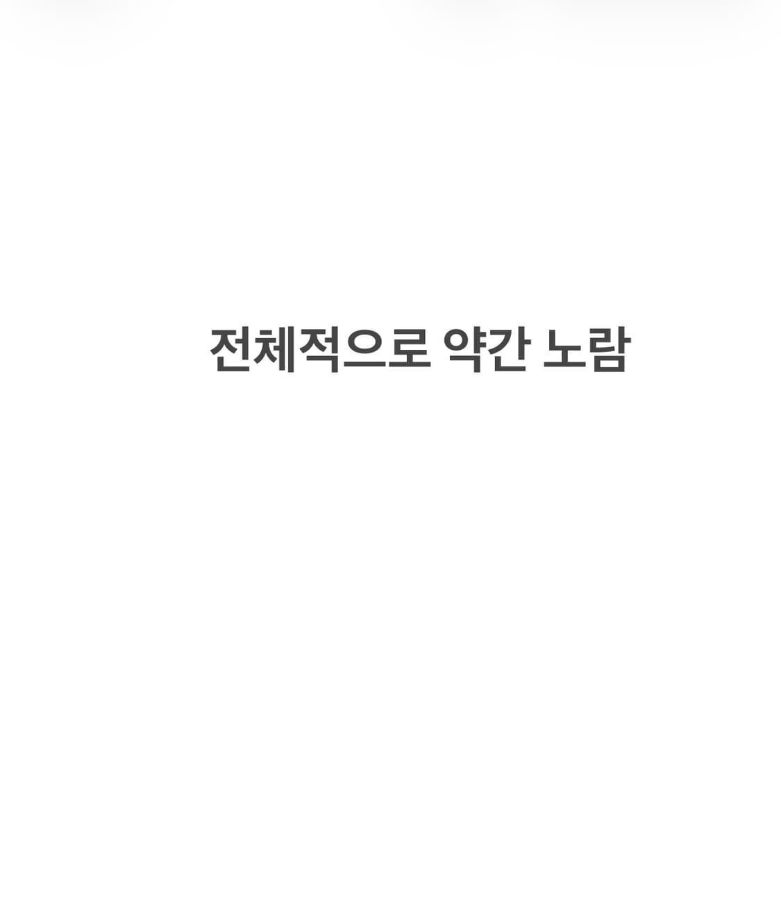 M MCM 월계수 맨투맨 0609J1 상품이미지6