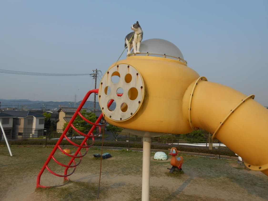 니콘 쿨픽스 Nikon COOLPIX S4150 샴페인 골드 상품이미지3