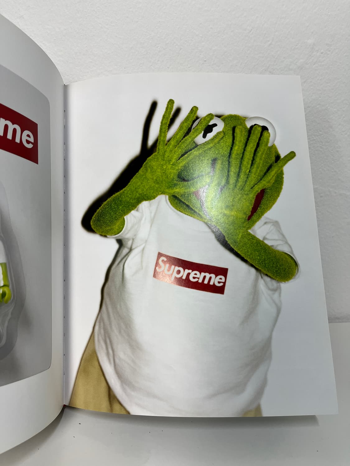 슈프림 제임스 제비아 리졸리 매거진 상품이미지6