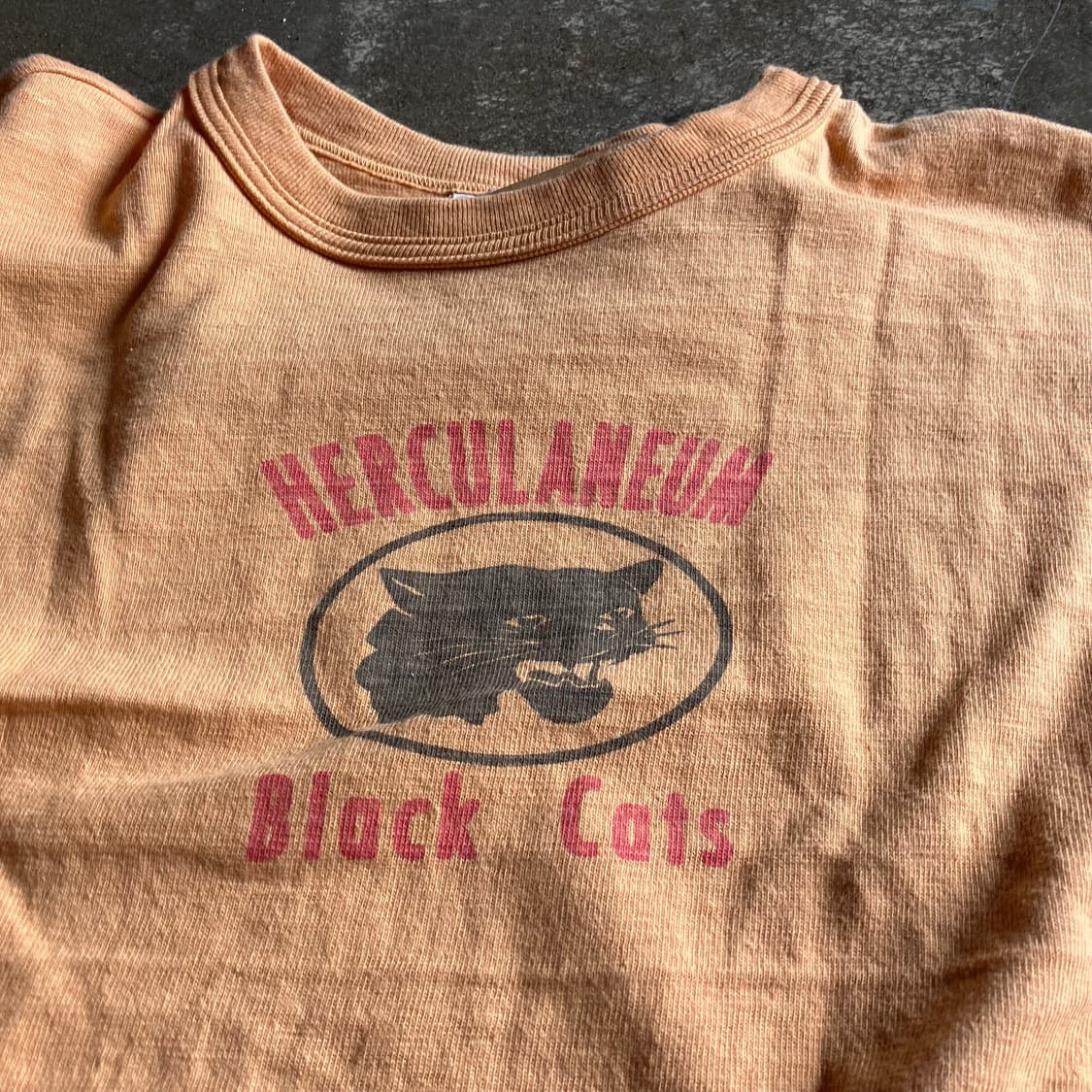 웨어하우스 블랙캣 하프셔츠 XL 상품이미지3