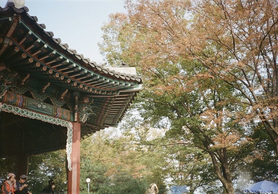 작례O 스냅 명품 단렌즈 캐논 cb35 필름카메라 빈티지 필카 상품이미지3