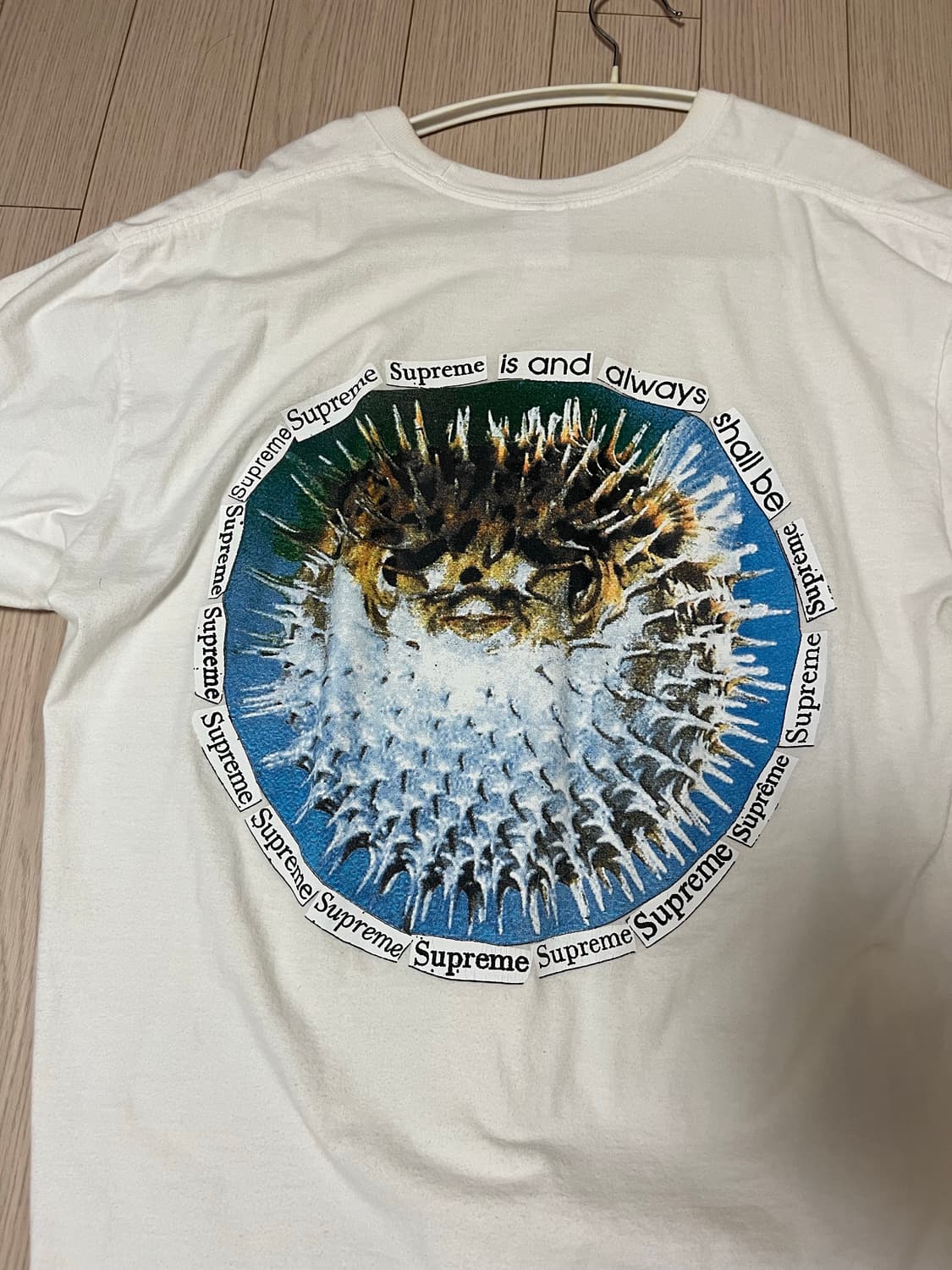 슈프림 blow fish 상품이미지1