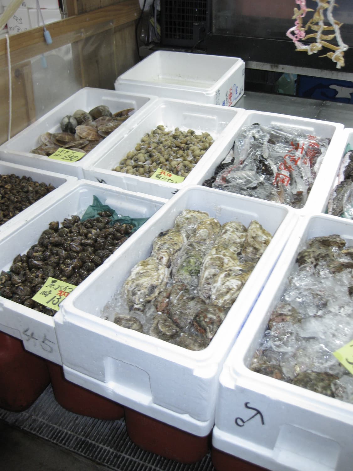 (유인디카)캐논 IXY DIGITAL 25 IS 디카 판매합니다!작례O 상품이미지9