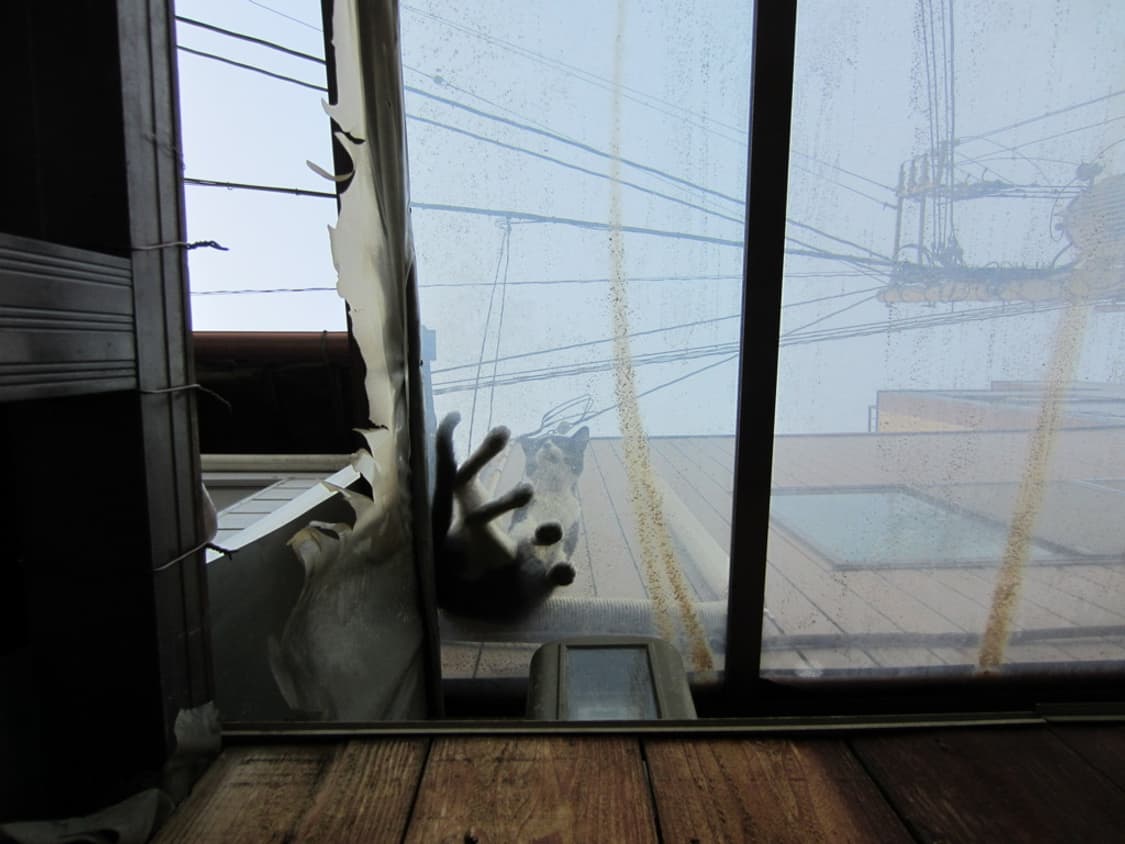 캐논 익서스 Canon IXUS 220 HS 실버(익시 410F  상품이미지5