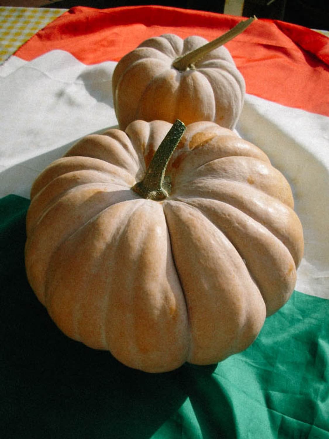  (A급) Kodak EasyShare C813 (코닥  C813) 상품이미지10