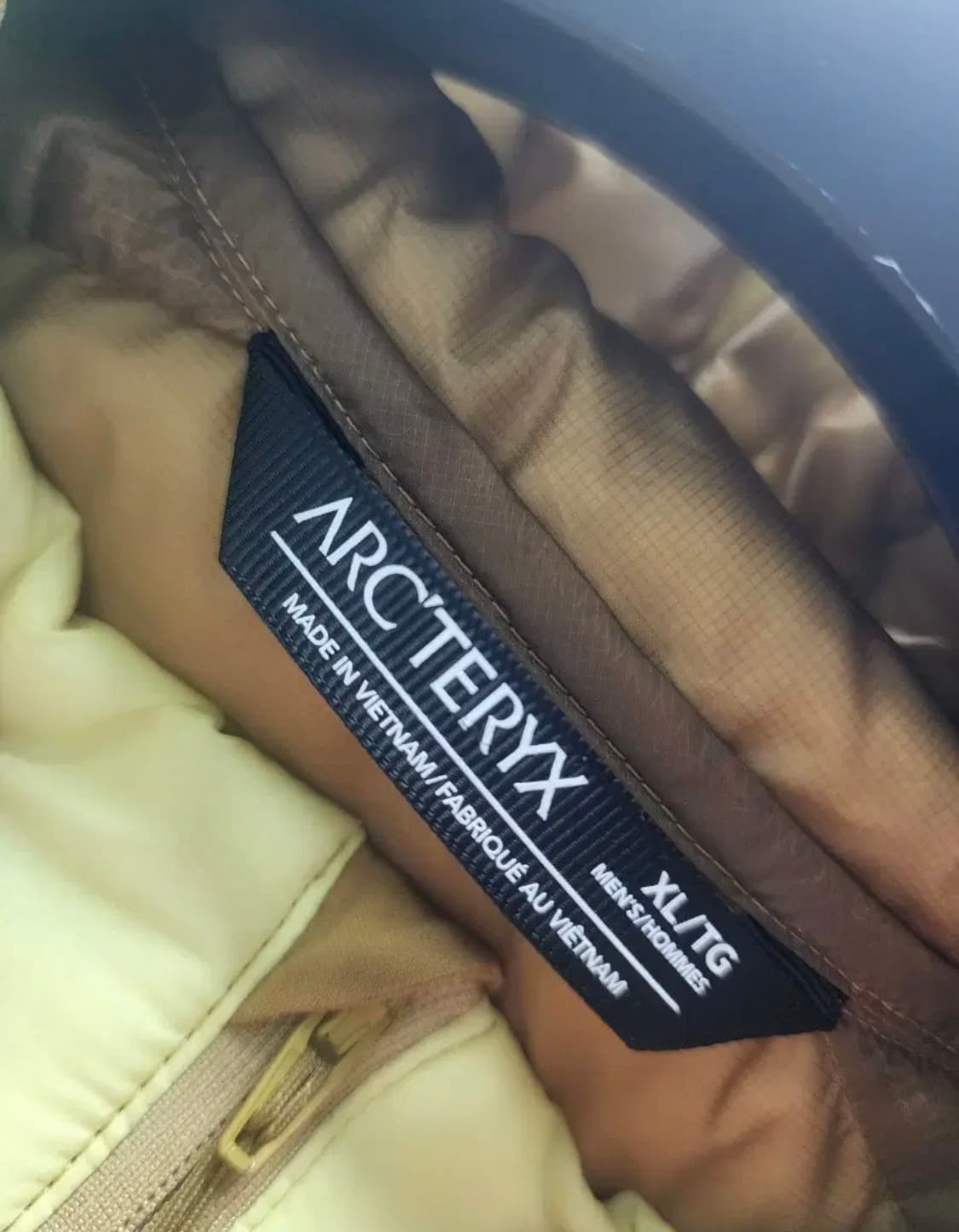 아크테릭스 세륨 오라클 xl 상품이미지3