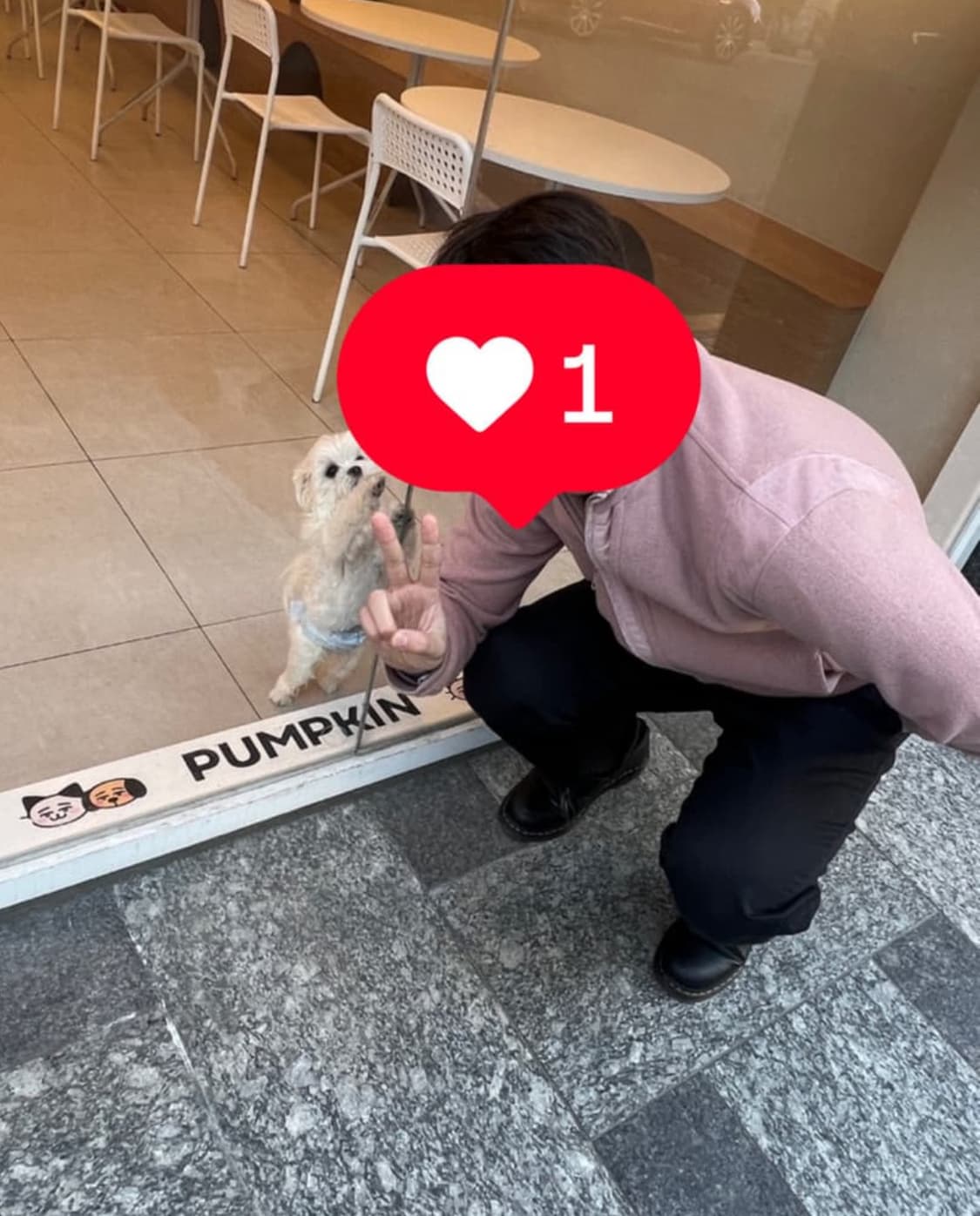 엑슬림 ep 01 니트  져지 핑크 상품이미지6