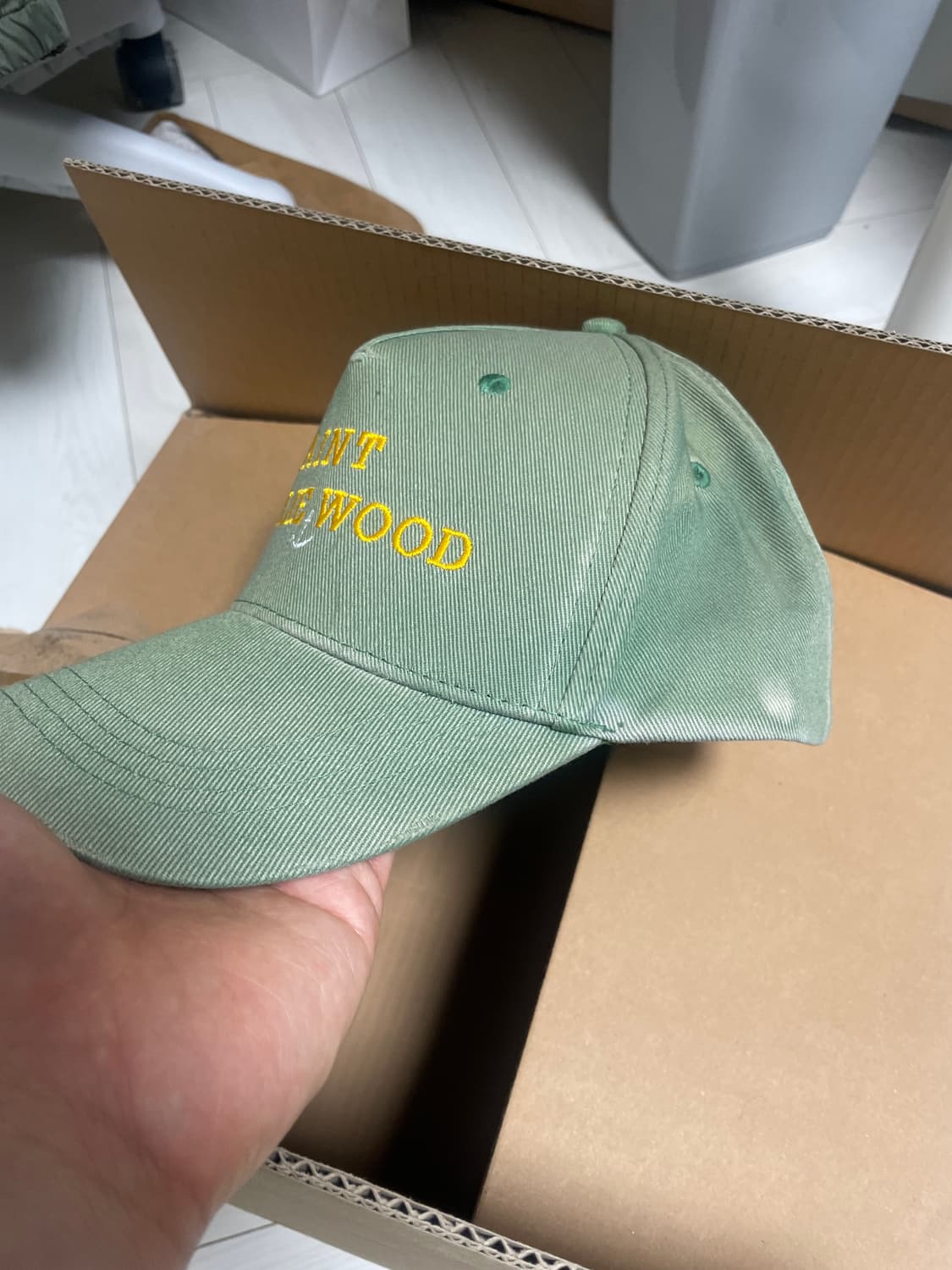 팔리할리우드 나탈리 우드 그린 모자 상품이미지4