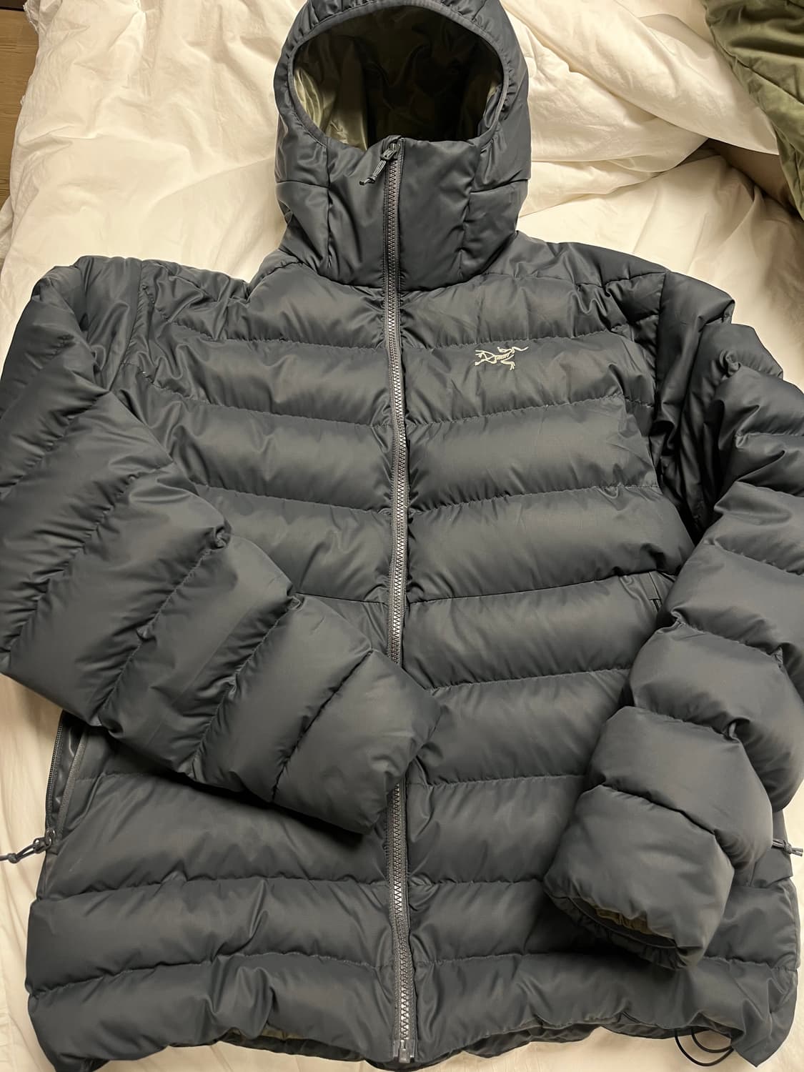 아크테릭스 토륨 후디 글리치 상품이미지2