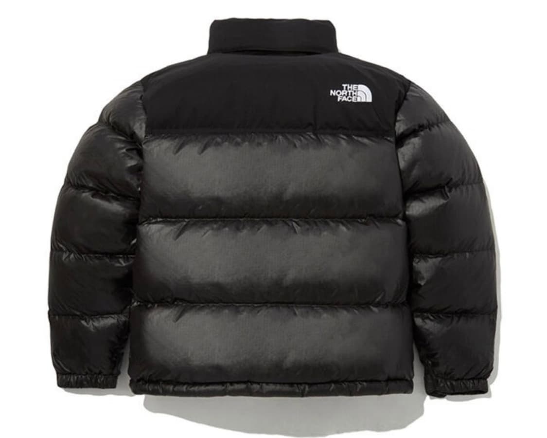 (새상품) 노스페이스 노벨티 눕시 다운 자켓 NJ1DP62J 상품이미지2