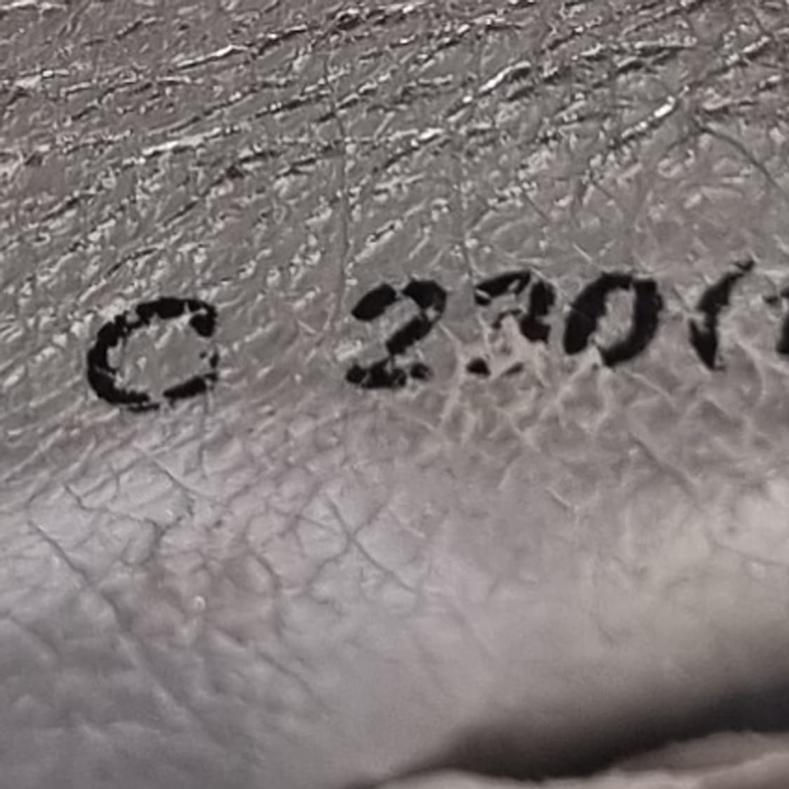 프라닥 클리퍼 여성스니커즈230 굽6 상품이미지6