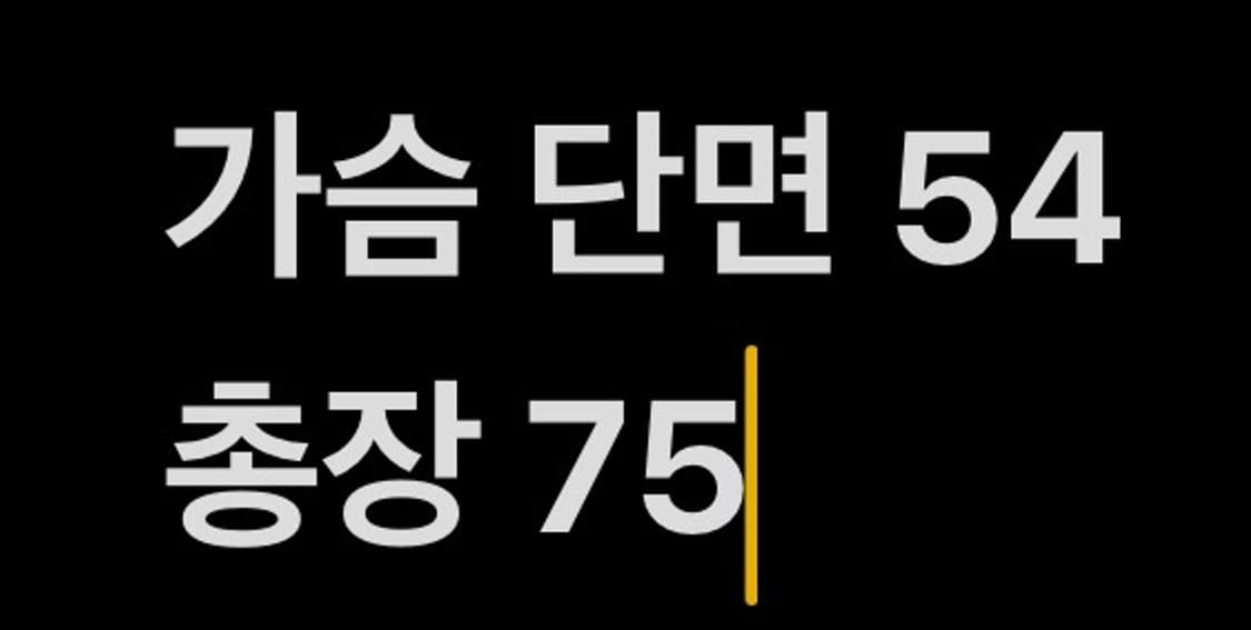 [ 정품/S ] 폴로 랄프로렌 체크 셔츠 b15 상품이미지7