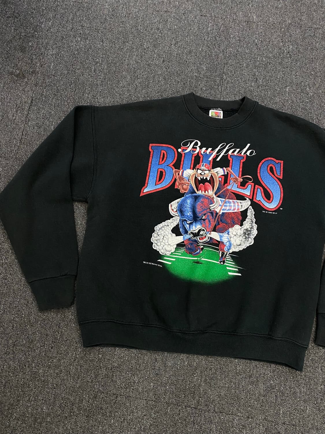 프루트오브더룸 루니튠즈 스웻셔츠 상품이미지3