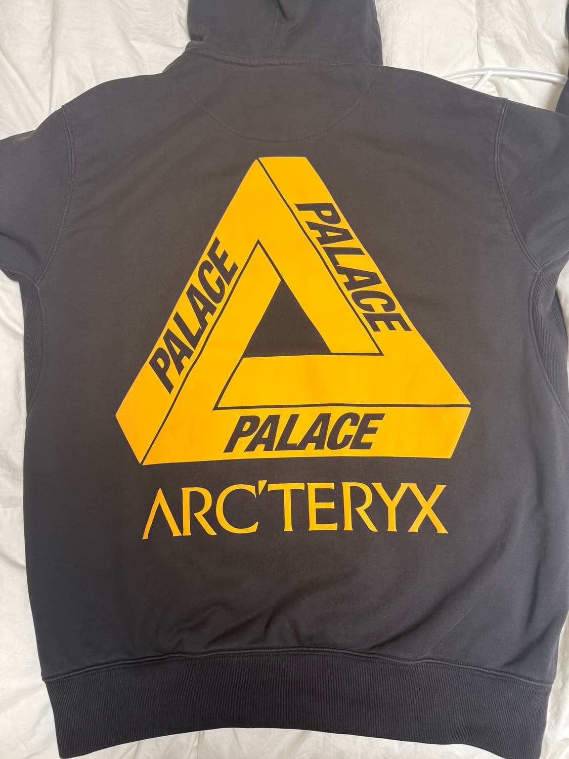 (L) 팔라스 아크테릭스 후드 블랙 상품이미지4
