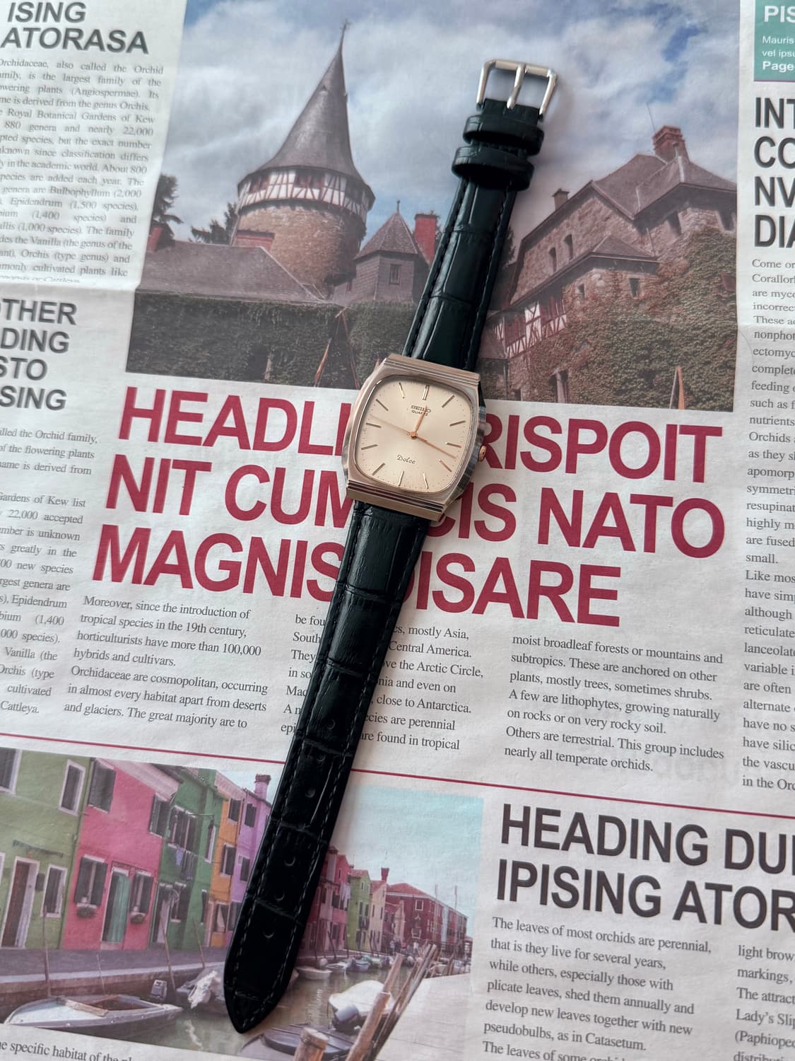 Seiko 세이코 Dolce 샴페인 쿼츠 상품이미지2