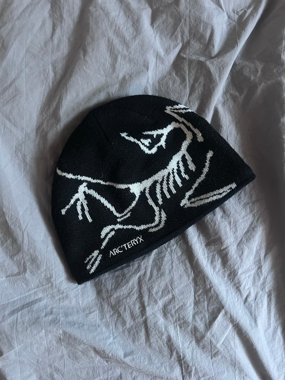 아크테릭스 버드 헤드 토크 오르카 비니 상품이미지1