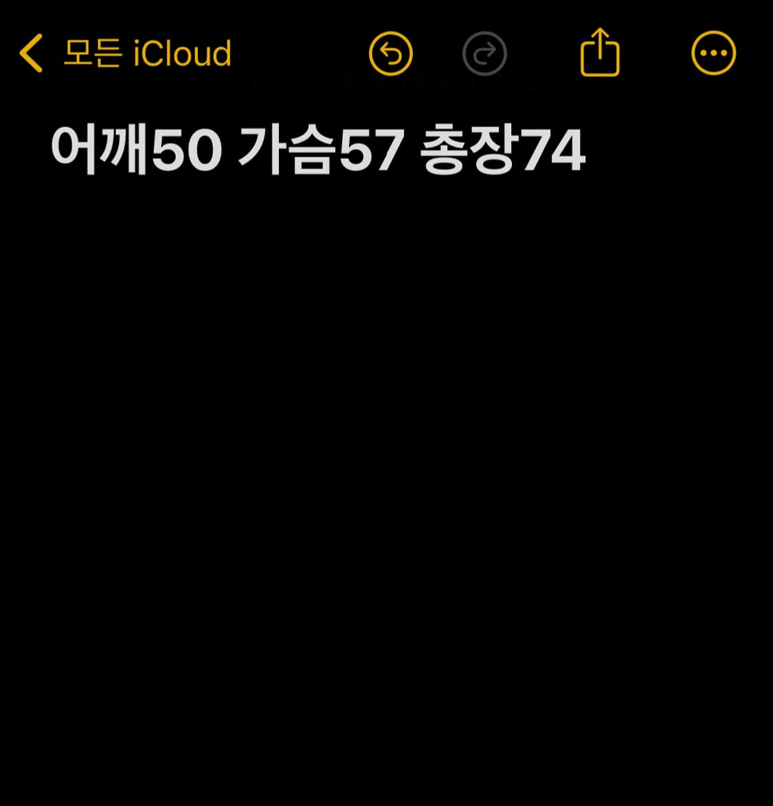 버버리 체크 반팔셔츠 상품이미지6