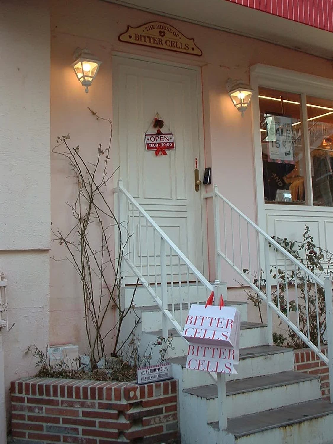 입문자 추천! 셔터만 누르면 되요! 파인픽스 a202  상품이미지5