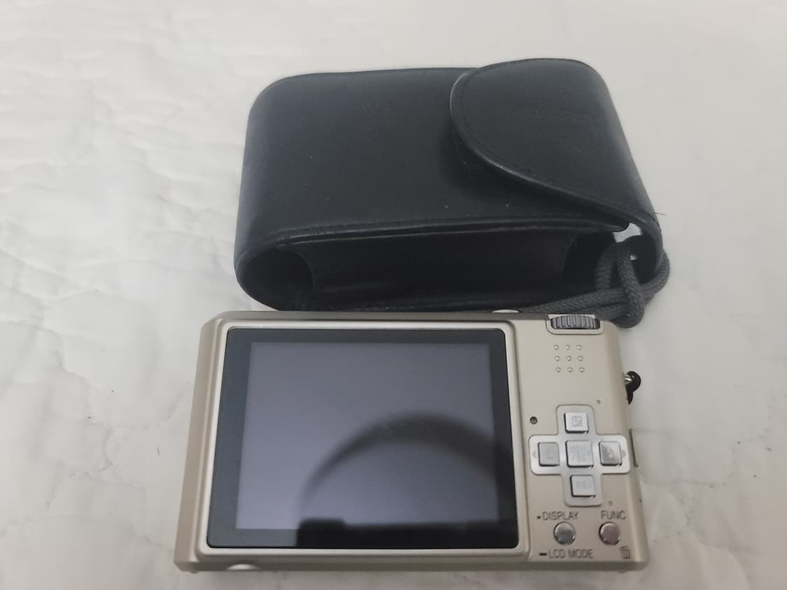 Leica) Panasonic Lumix FX100  상품이미지2