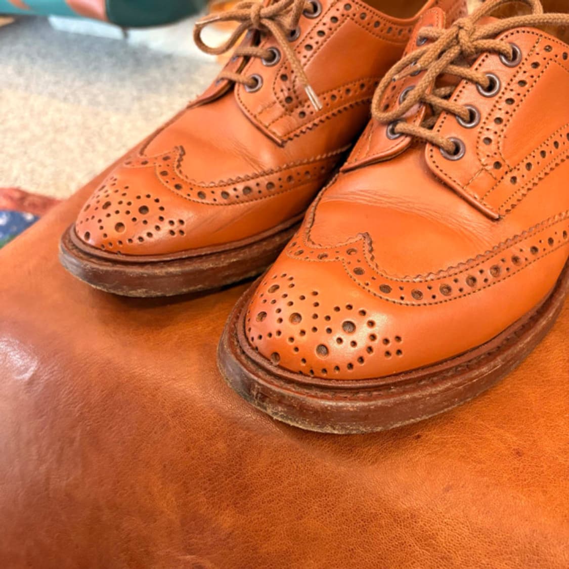 Tricker’s 트리커즈 bourton 부통 윙팁 상품이미지2