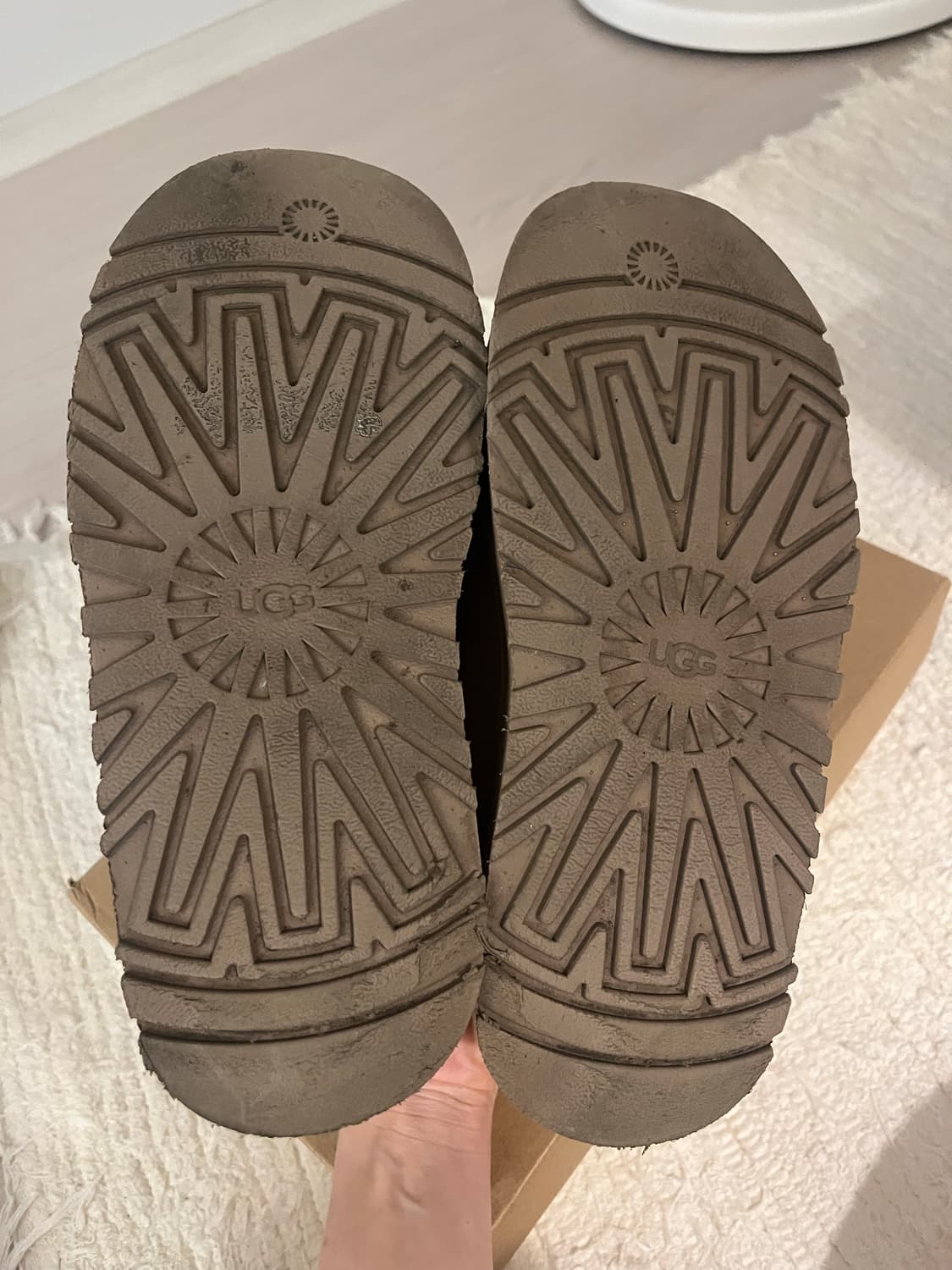 어그 타즈  체스트넛 230 상품이미지3