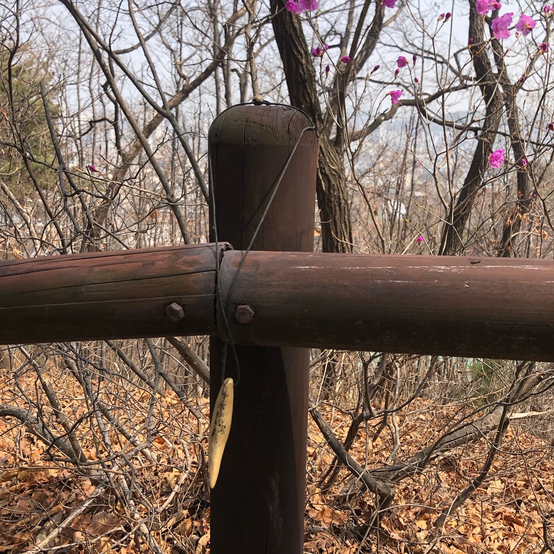 아무것도 아닌 말에 2 🥿  상품이미지3