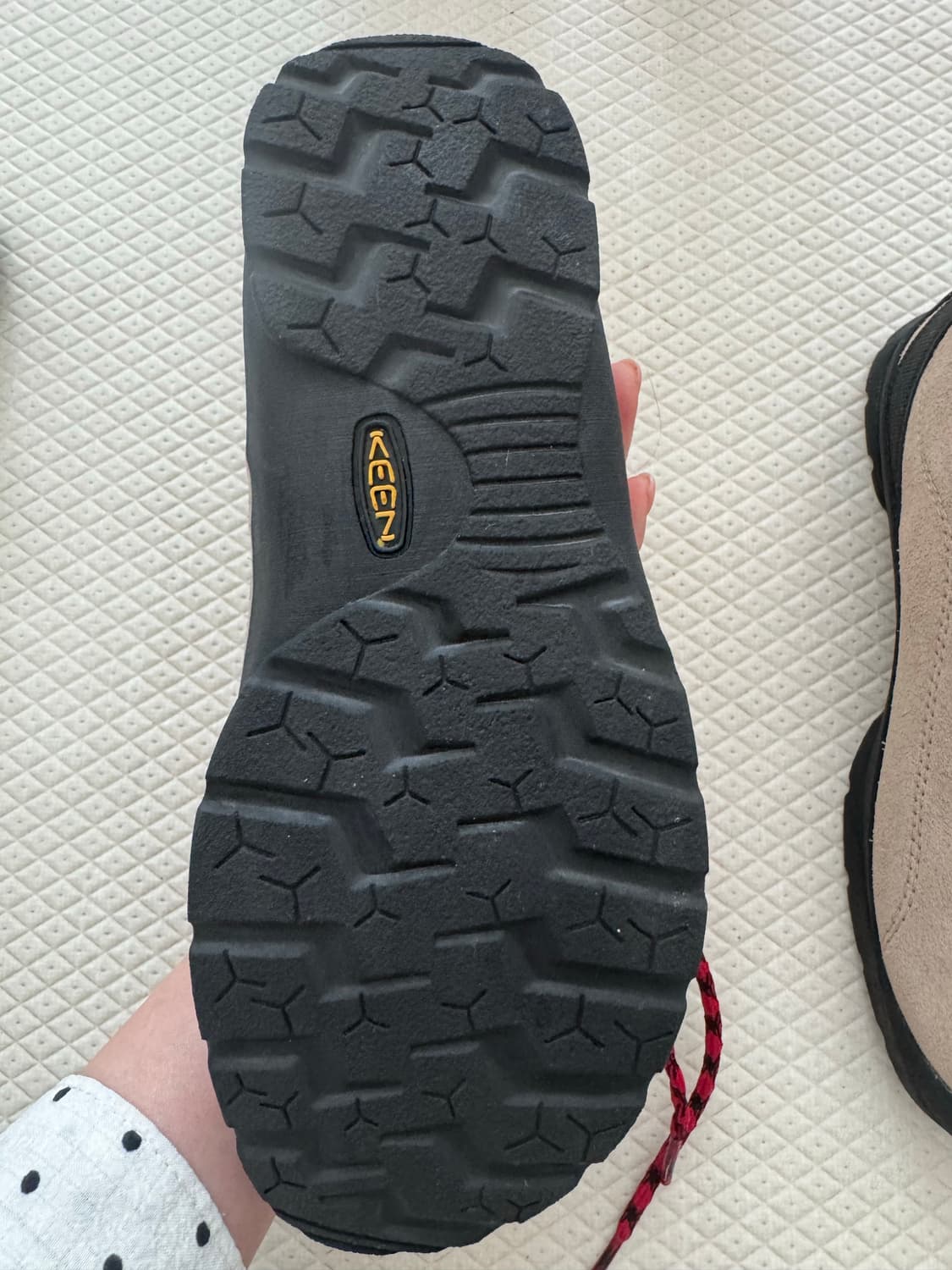 킨 재스퍼 240(새상품) 상품이미지4