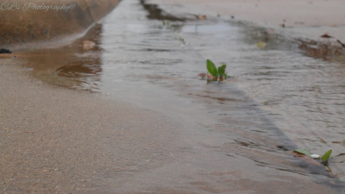 삼성 Samsung VLUU PL100  퍼플 상품이미지4