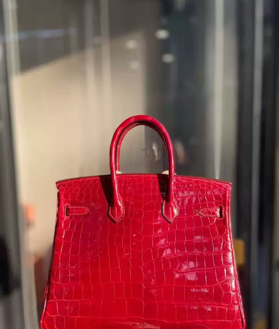 정품 에르메스 버킨백 25사이즈 닐로티쿠스 페라리 다이아몬드 VVIP 상품이미지2