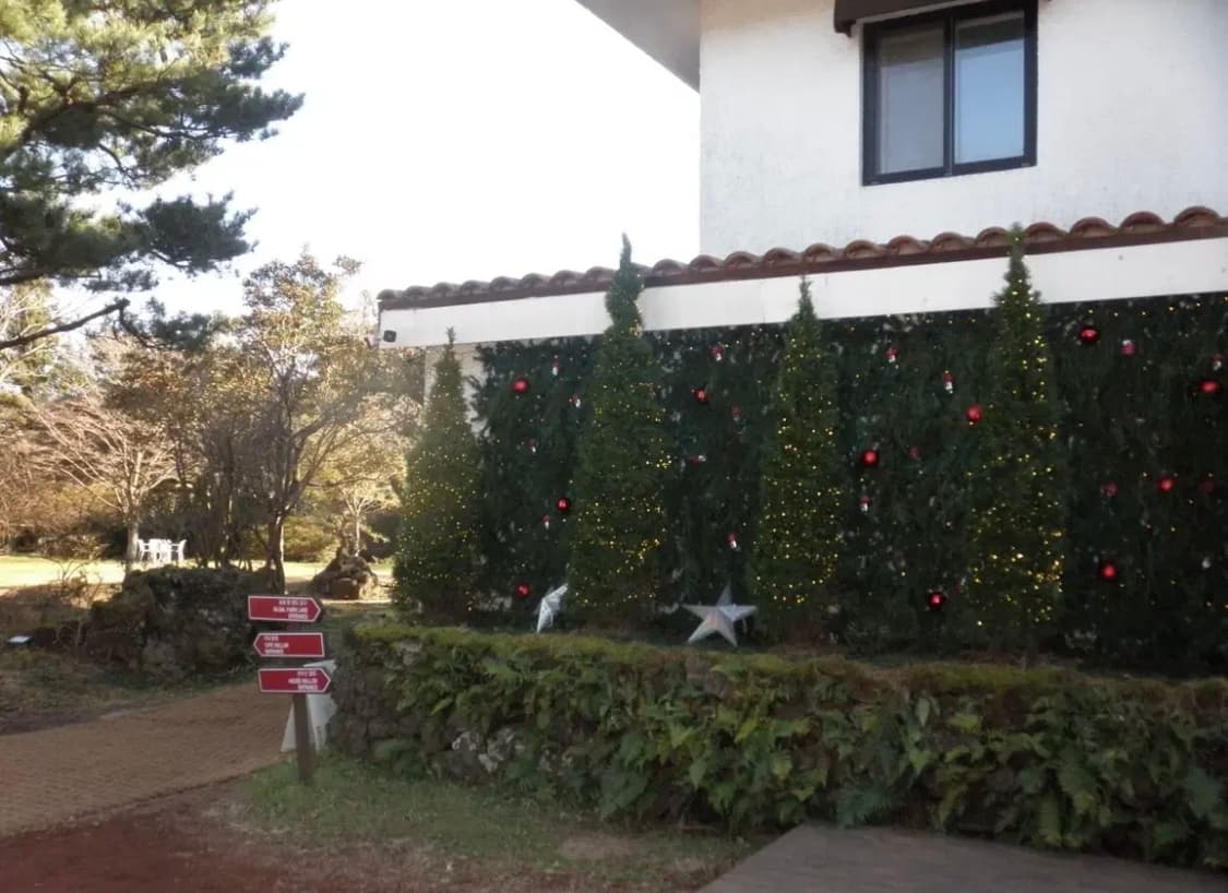 올림푸스 뮤 7010 핑크 (작례⭕️) 상품이미지9