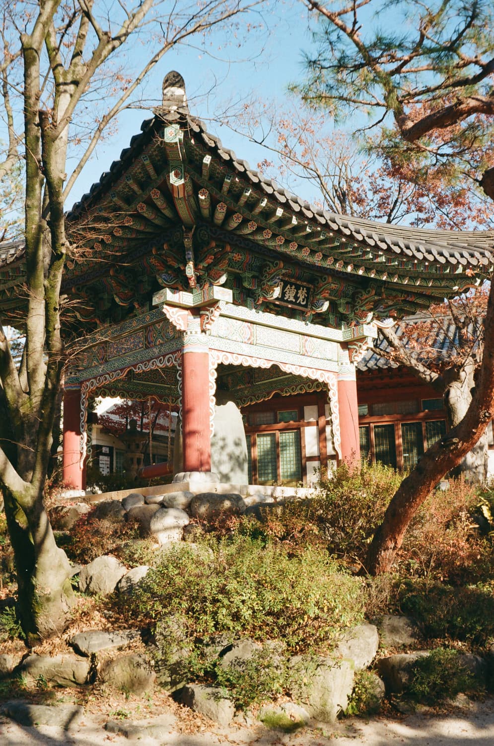 코비카 35 BC-1완전수동 기계식 필름카메라 상품이미지10