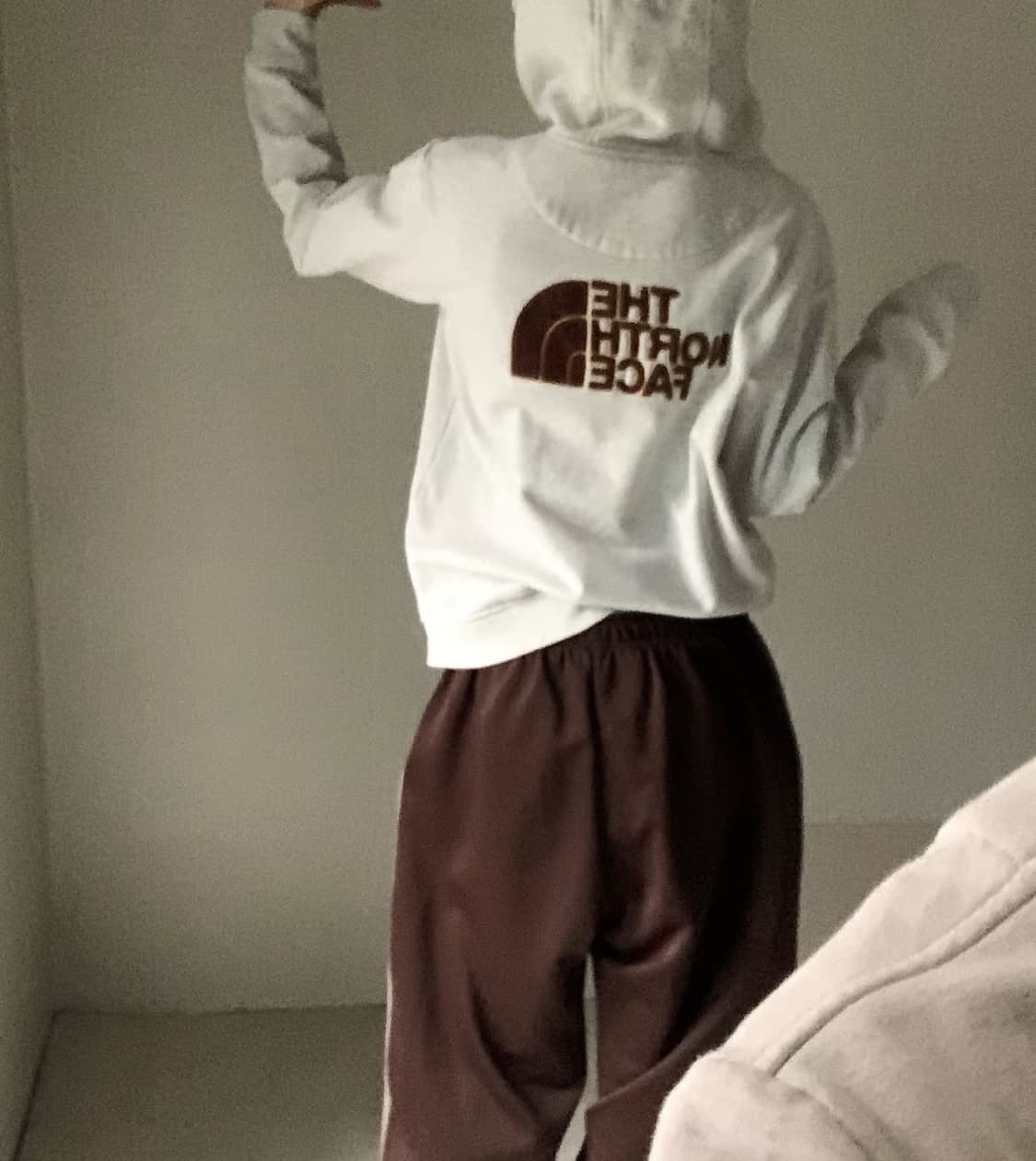 노스페이스 베이지 브라운 후드집업 상품이미지4