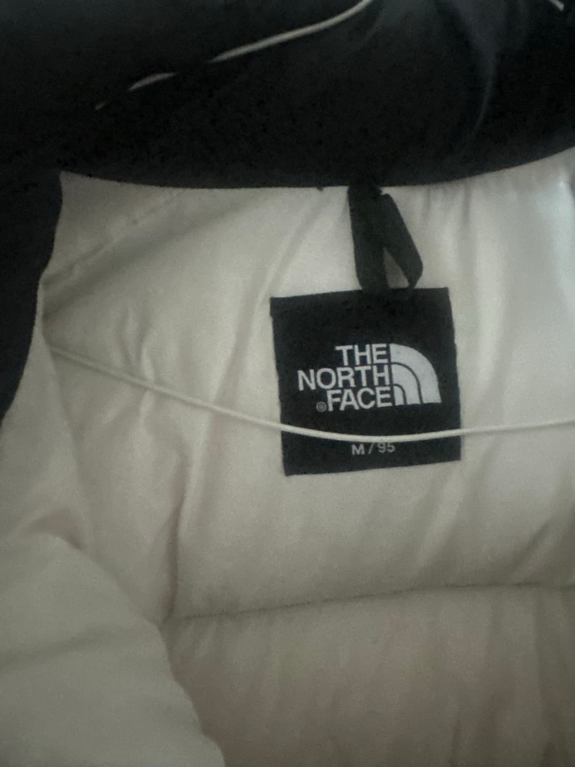 노스페이스 에코 눕시 화이트 m 상품이미지3