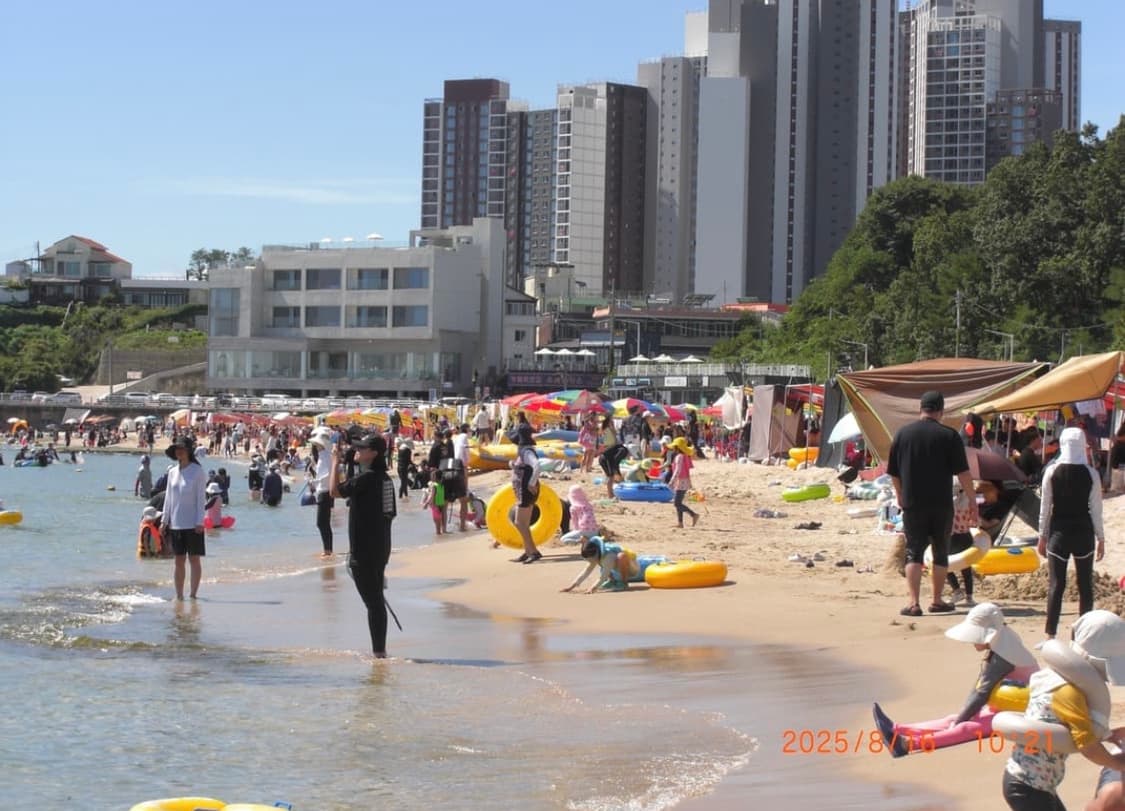 [*인기!⚡️/작례⭕️] 카시오 엑슬림 EX-Z1050 빈티지 디카 상품이미지10