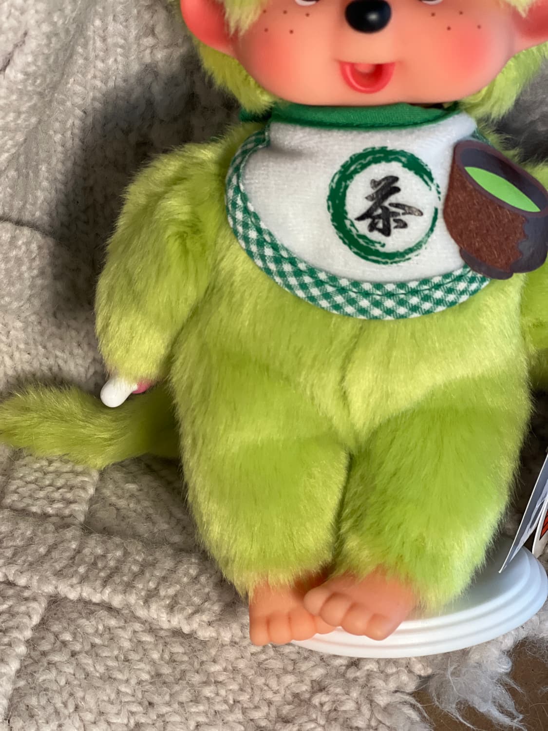 말차 몬치치 s (예쁜개체) 상품이미지6