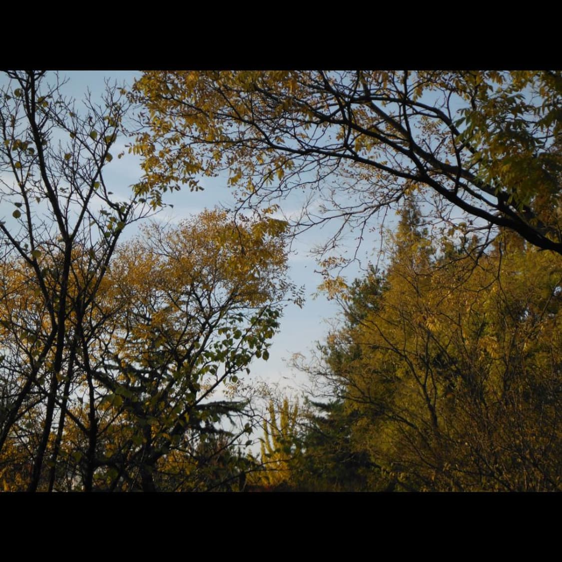 작례⭕️ 후지필름 XP150 + 박스  아쿠아 블루 메탈릭🌊  상품이미지8