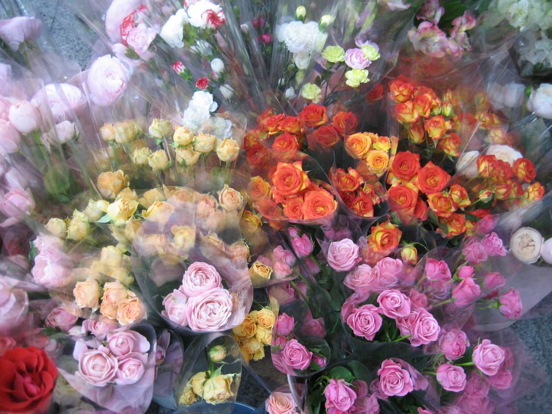 작례🔴캐논 Canon IXY 80(= IXUS 65)빈티지카메라 상품이미지9