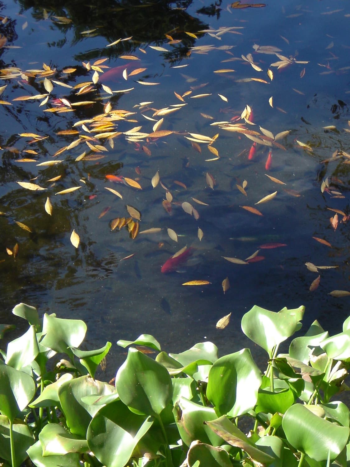 빈티지 소니 디카 dsc-t1 실버 카메라 상품이미지2